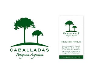  Caballadas, Patagonia Argentina: diseño de isologotipo, tarjetas, presentación y web.